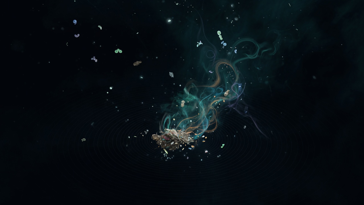 Deep ocean marine snow particles leaking nutrients under pressure