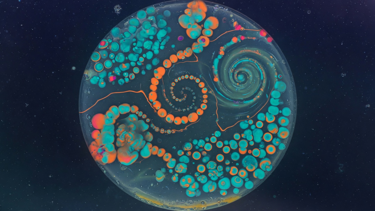 Artistic rendering of woodlice forming a circular spiral under a streetlight at night